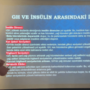 Birebir Özel Ders